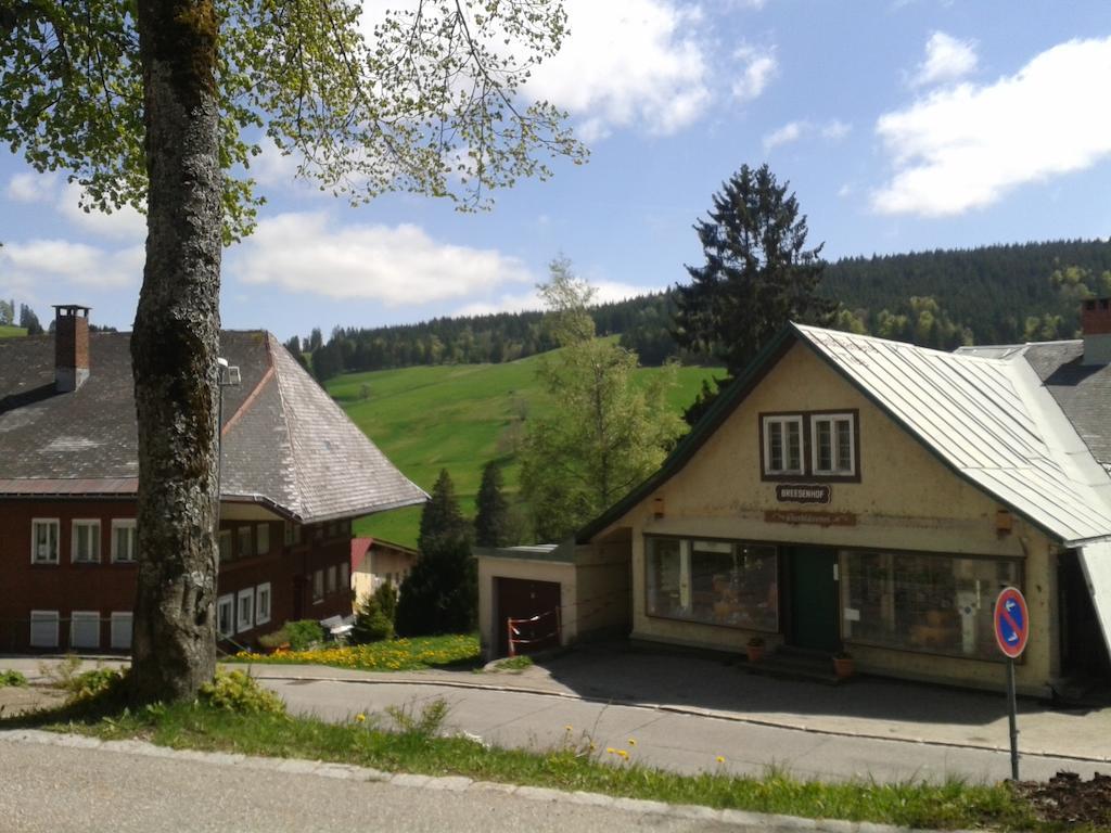 Hotel Sternen - Anno 1769 Todtnauberg Quarto foto