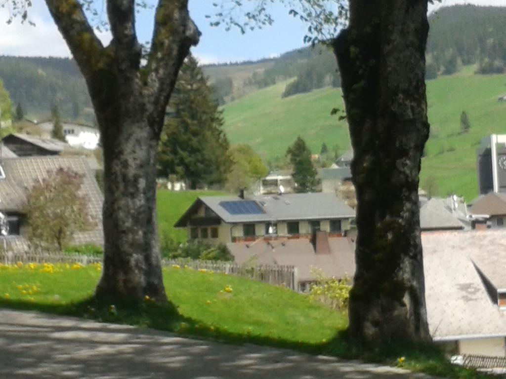 Hotel Sternen - Anno 1769 Todtnauberg Quarto foto